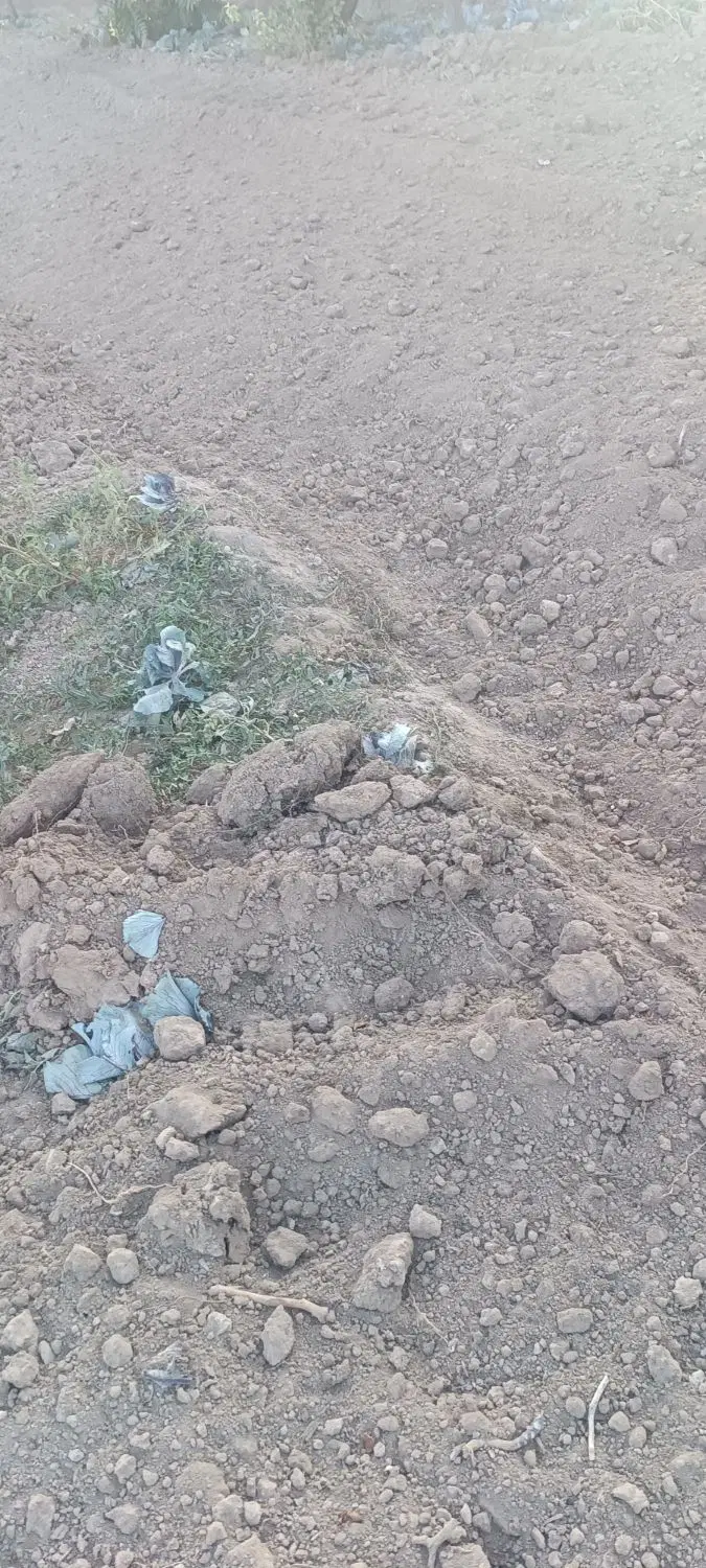 ملک سرمایه گذاری مندوا
