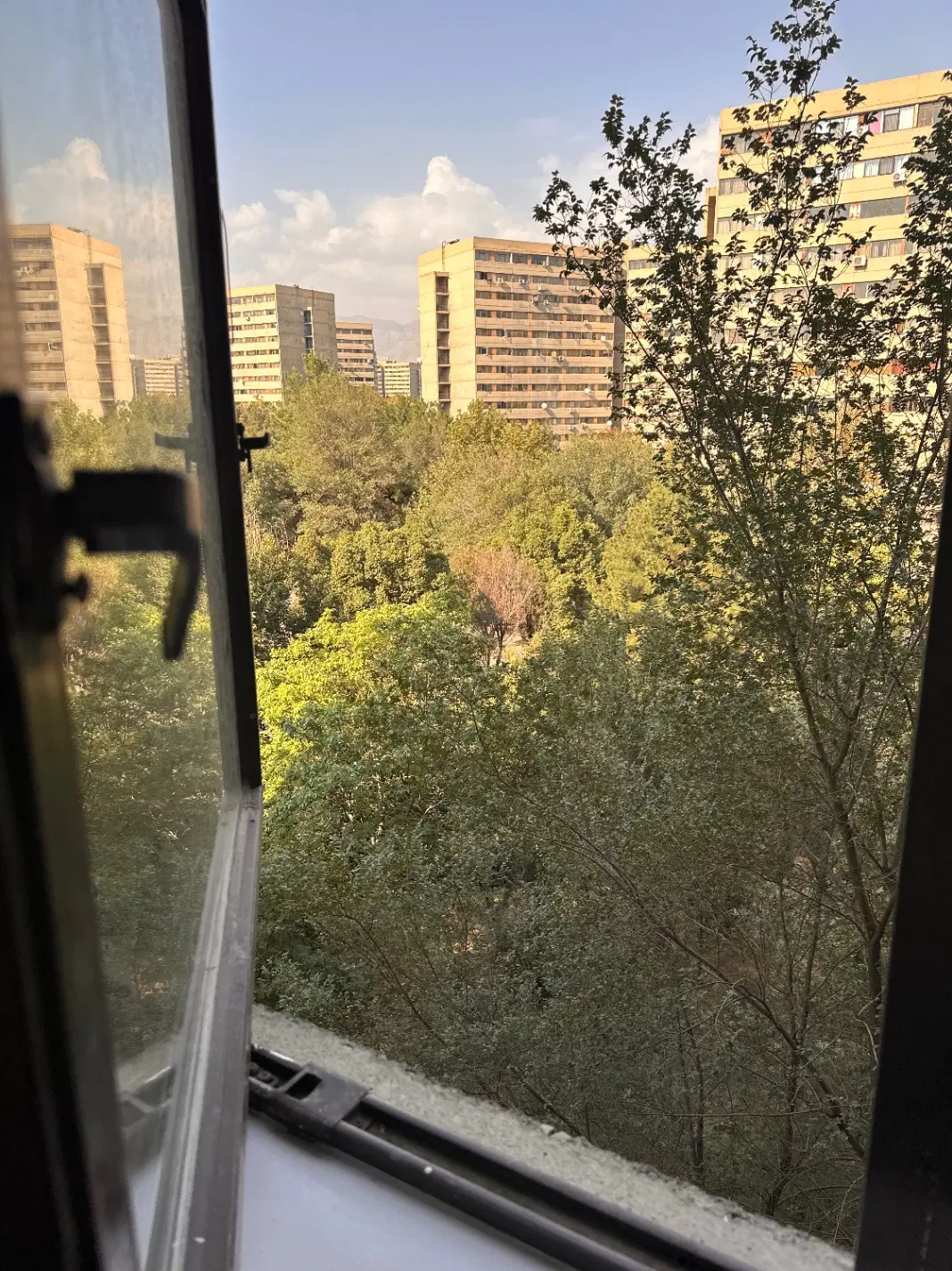 آپارتمان   یک خواب