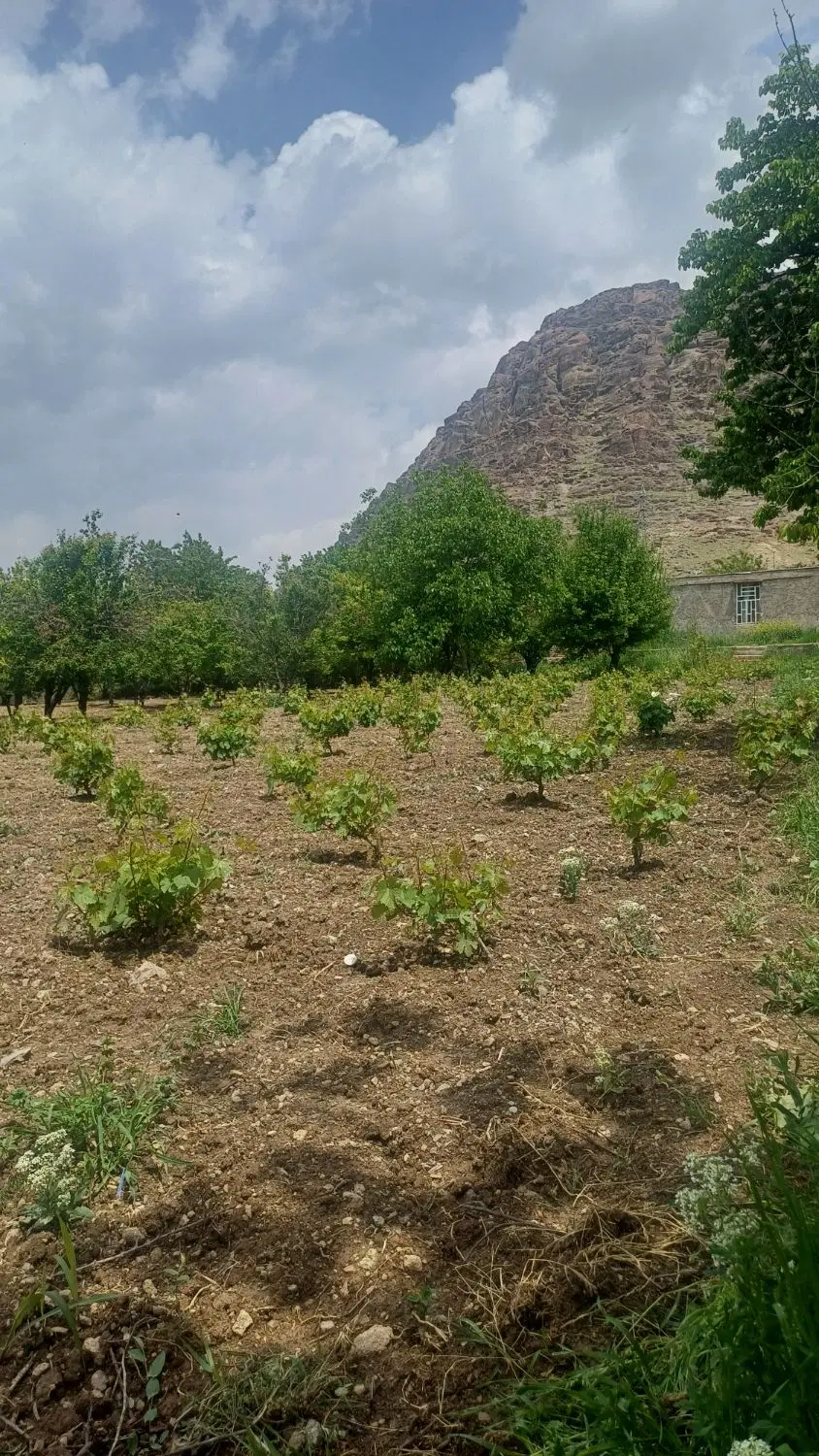 فروش زمین طرح هادی مهدی اباد کمالوند
