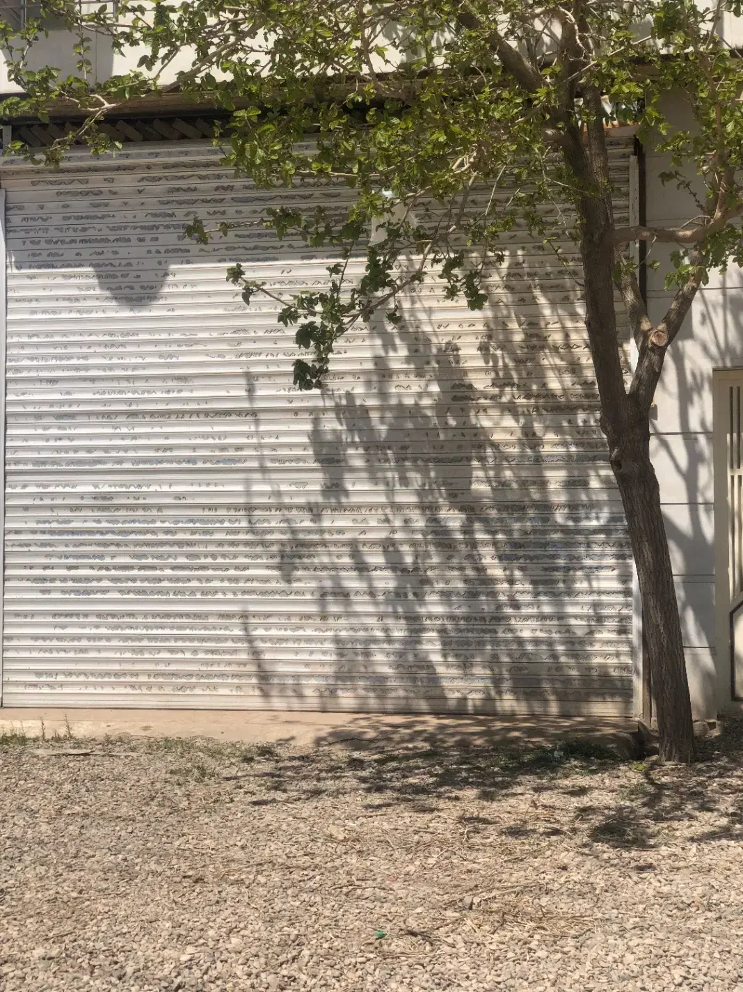 اجاره مغازه ۵۰متری کمربندی