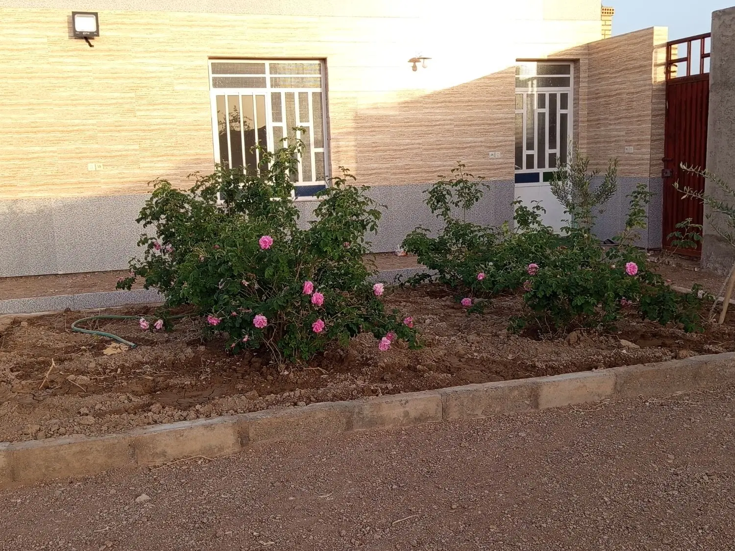 فروش گاوداری