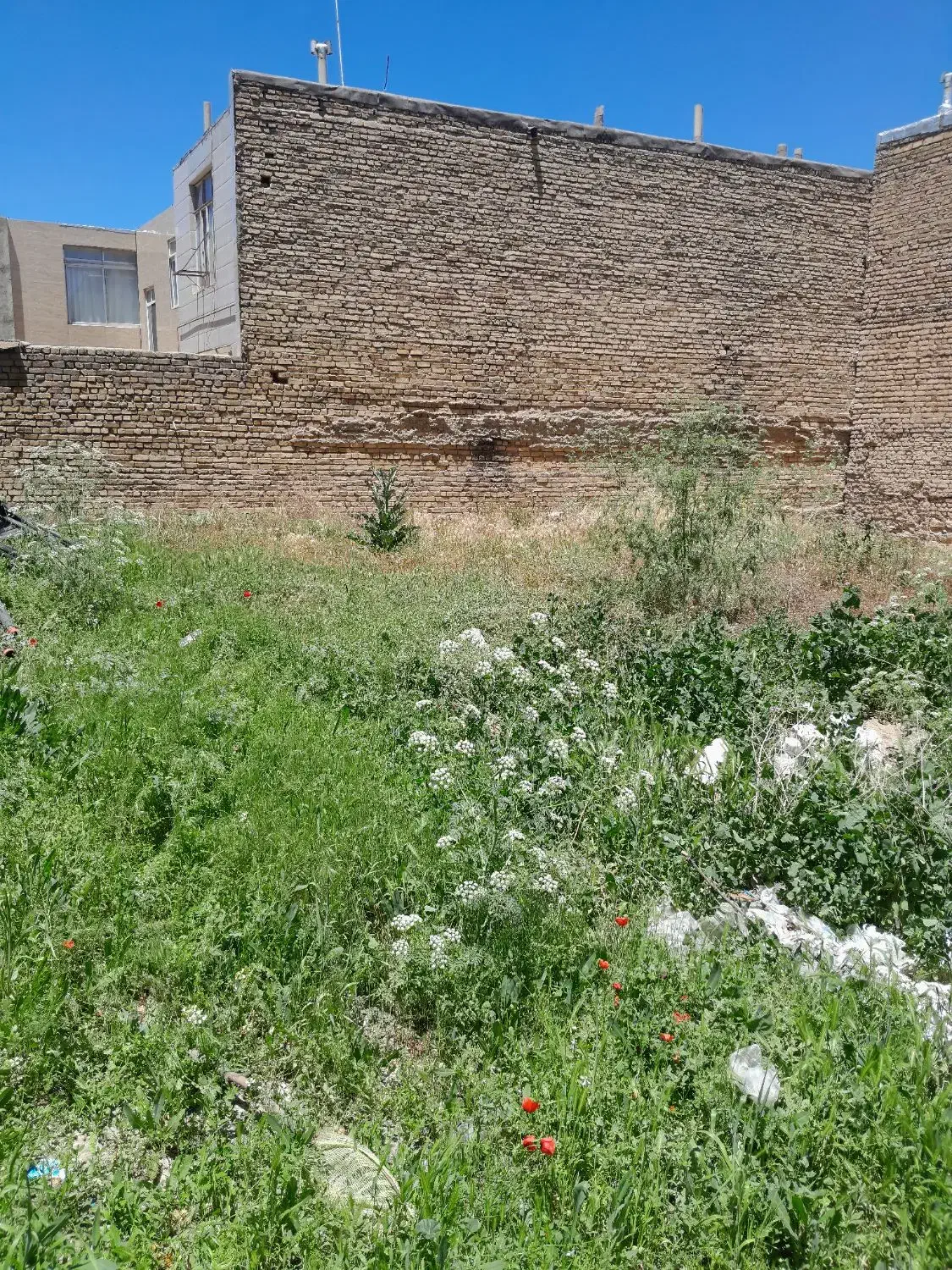 فروش زمین مسکونی سند تک برگ در همدان