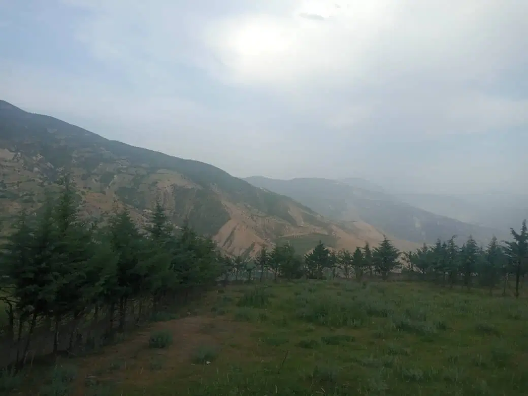فروش زمین باغی در منطقه ییلاقی کلاردشت