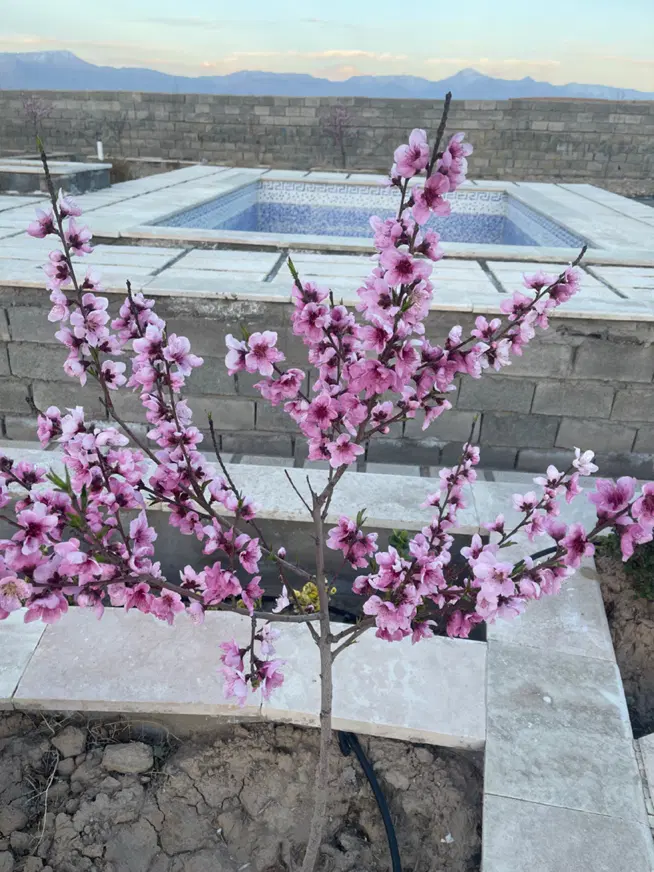 آپارتمان ۶۰متری مالک اشتر شمالی
