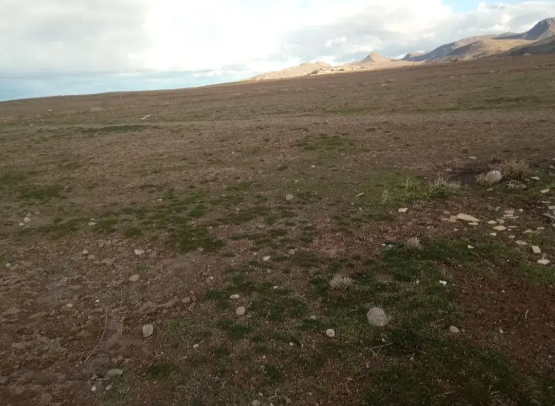 زمین قراردادی کارشناسان رسمی دادگستری پلاک ۸۵