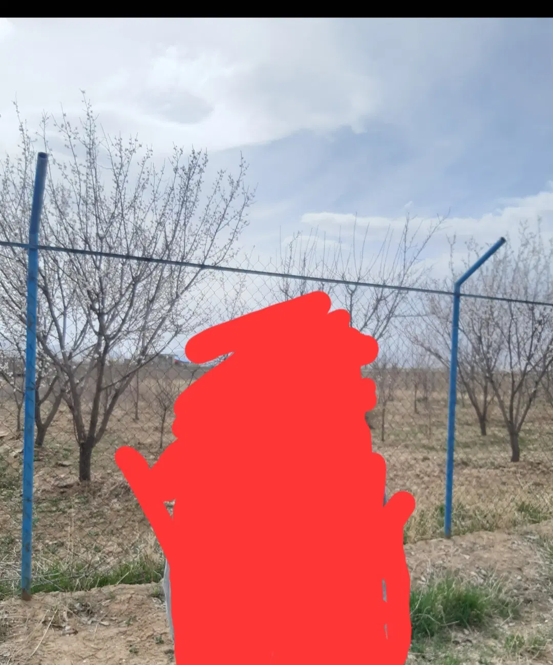 فنس باغی۴۲۰متدمربع و۷۳عددپایه لوله گازی۲۱۰مترقوطی
