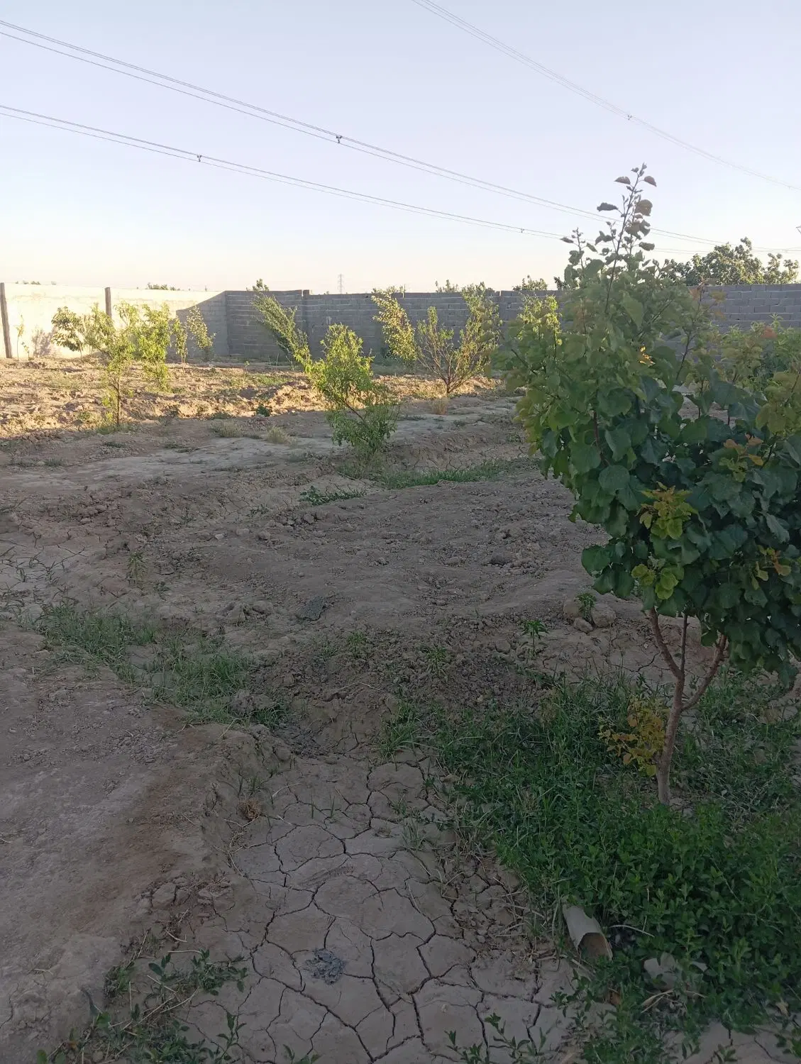 باسلام باغچه ۲۸۴متری