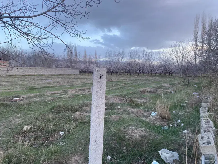 زمین کشاورزی دو‌کله مناسب تالار وسرخانه