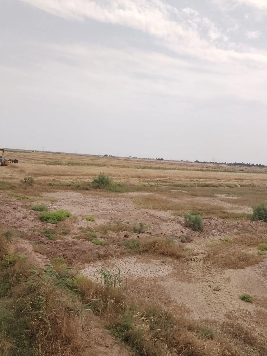 اجاره شیش هکتارزمین گندم ابتدای جاده شلمچه
