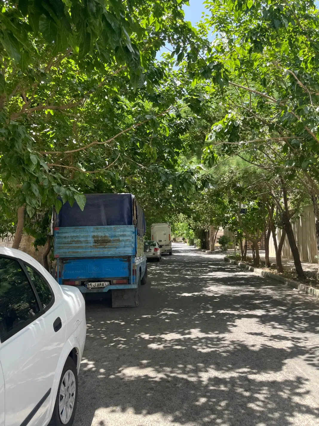اجاره ۱۲۰ متر فاز ۱