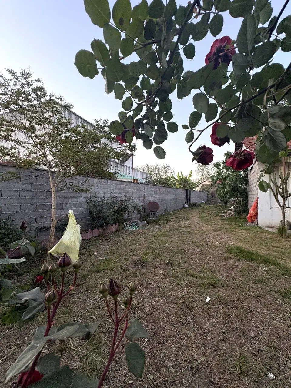 فروش زمین و خانه کلنگی