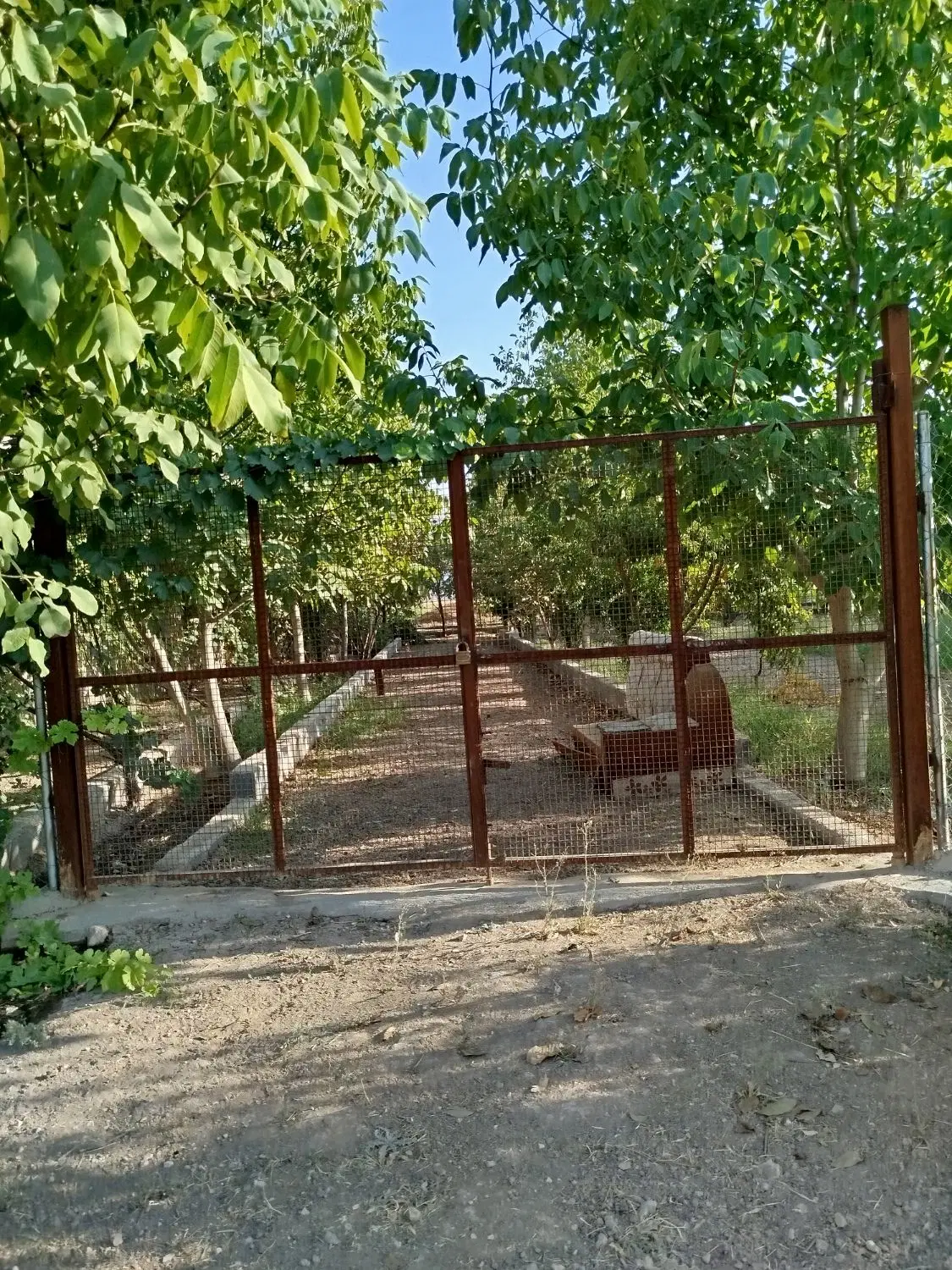 باغ شهری