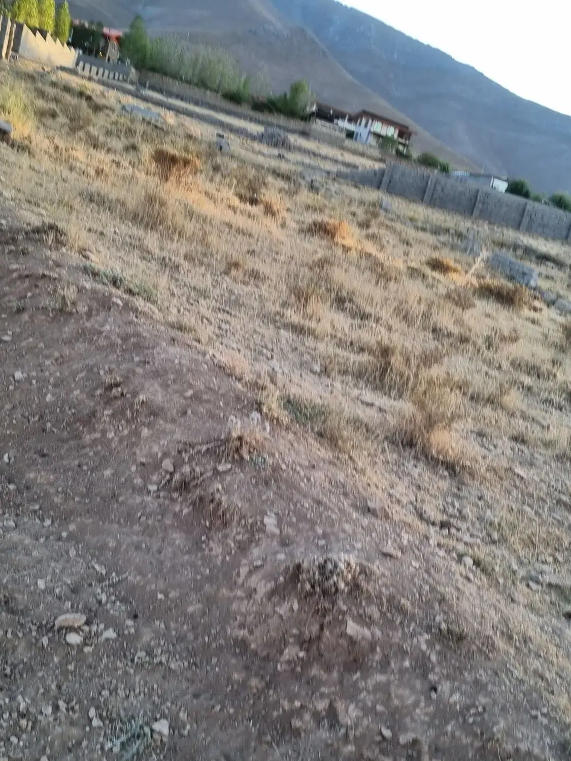 زمین مسکونی خانه میران چسبیده به طرح هادی