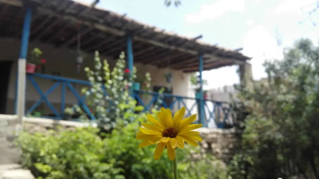سوییت دربست