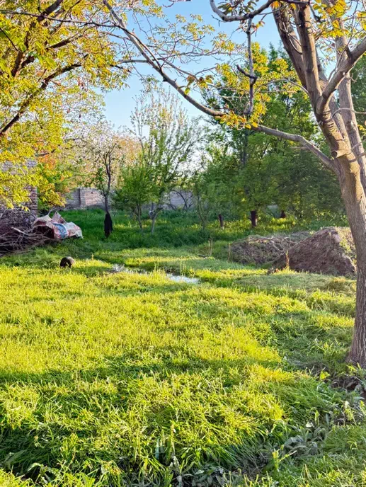 باغ مسکونی داخل طرح کاربری مسکونی