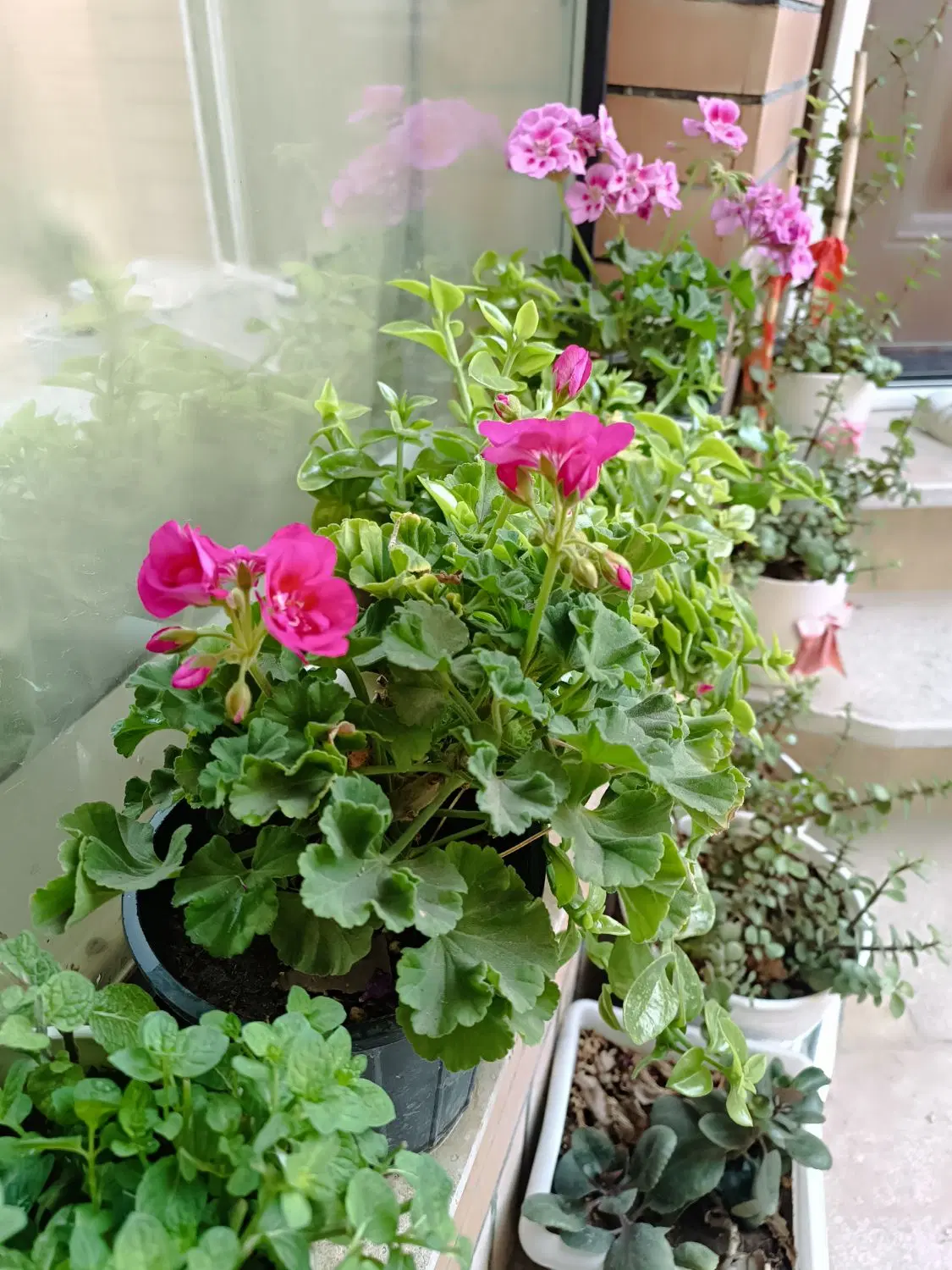 رهن آپارتمان ۸۰ متری