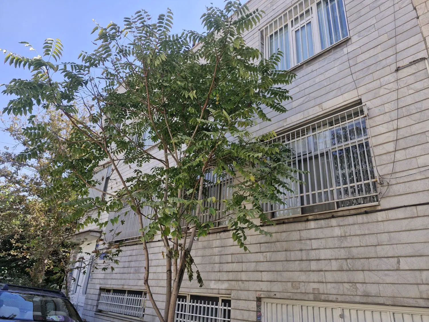 ۲۰۰متر کلنگی کردستان امیرآبادشمالی