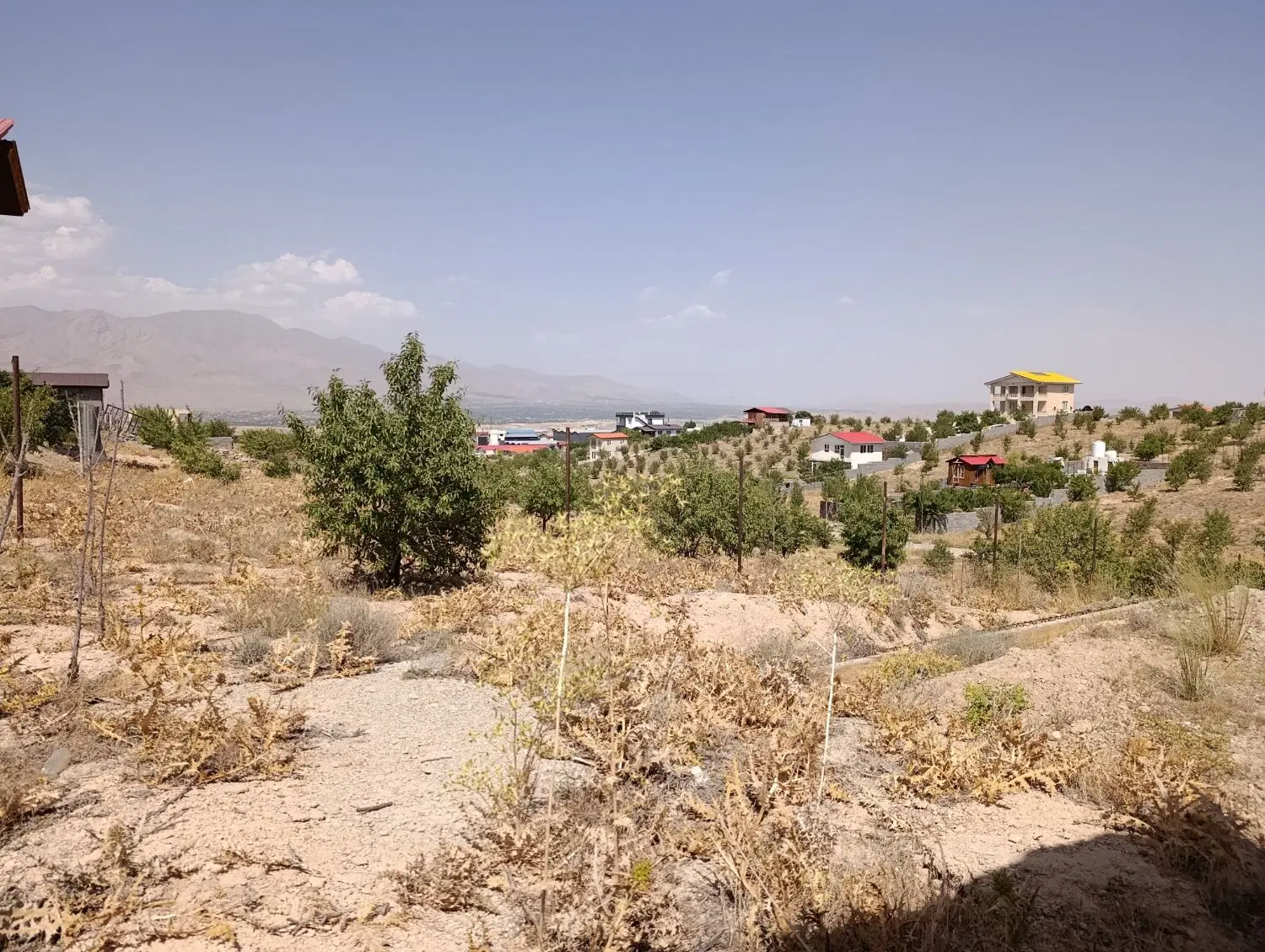 زمین