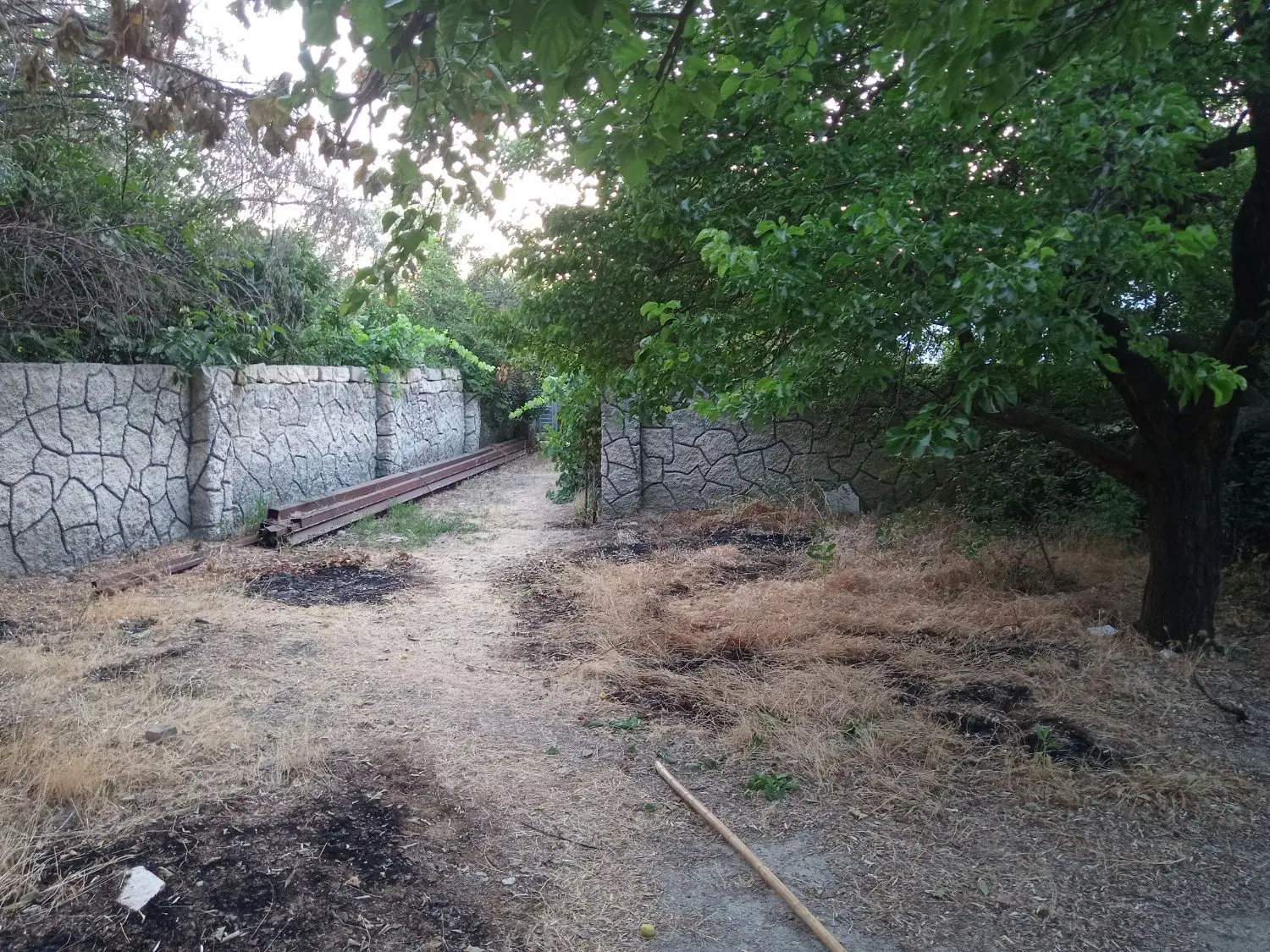 خانه باغ امامزاده کوی اطبا کوی وقار