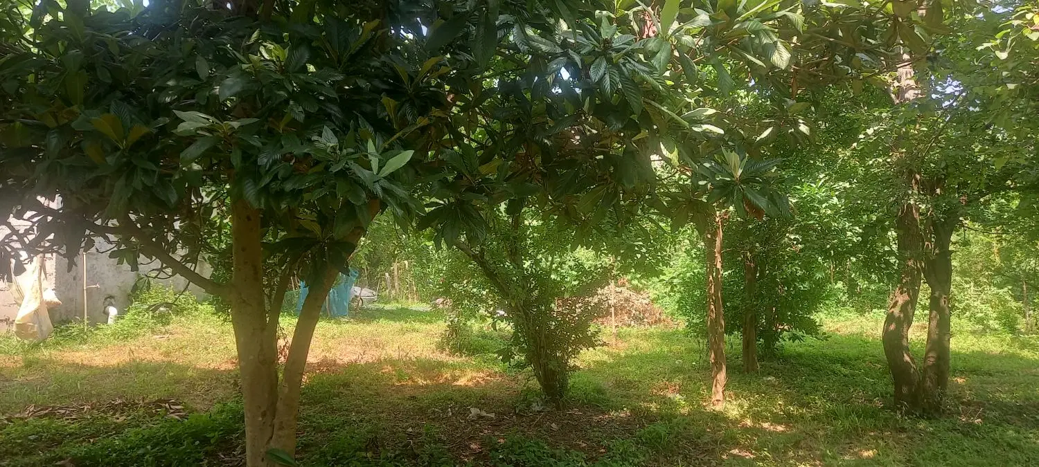 زمین ۶۰۰ متری سنگر قاضیان سراوان _ دهبنه