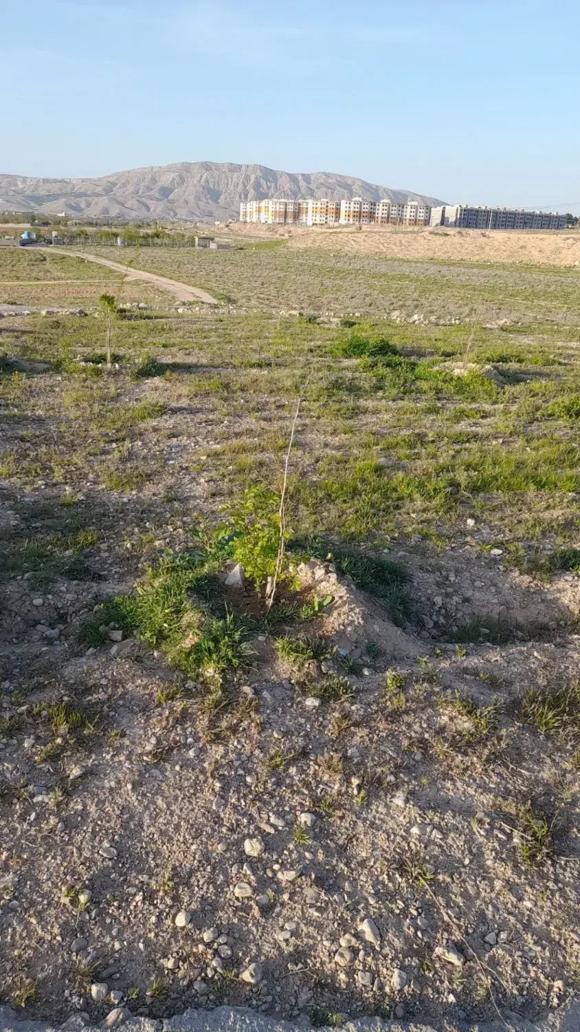 زمین  باغ جاده برج( معاوضه با ماشین)