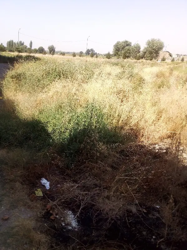 ۵۰۰۰مترزمین فروش  کلی وجزیی