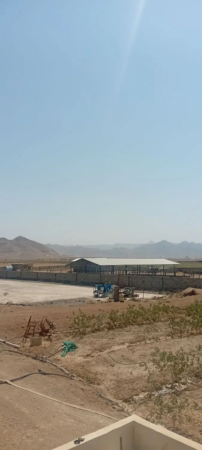 گاوداری فروشی