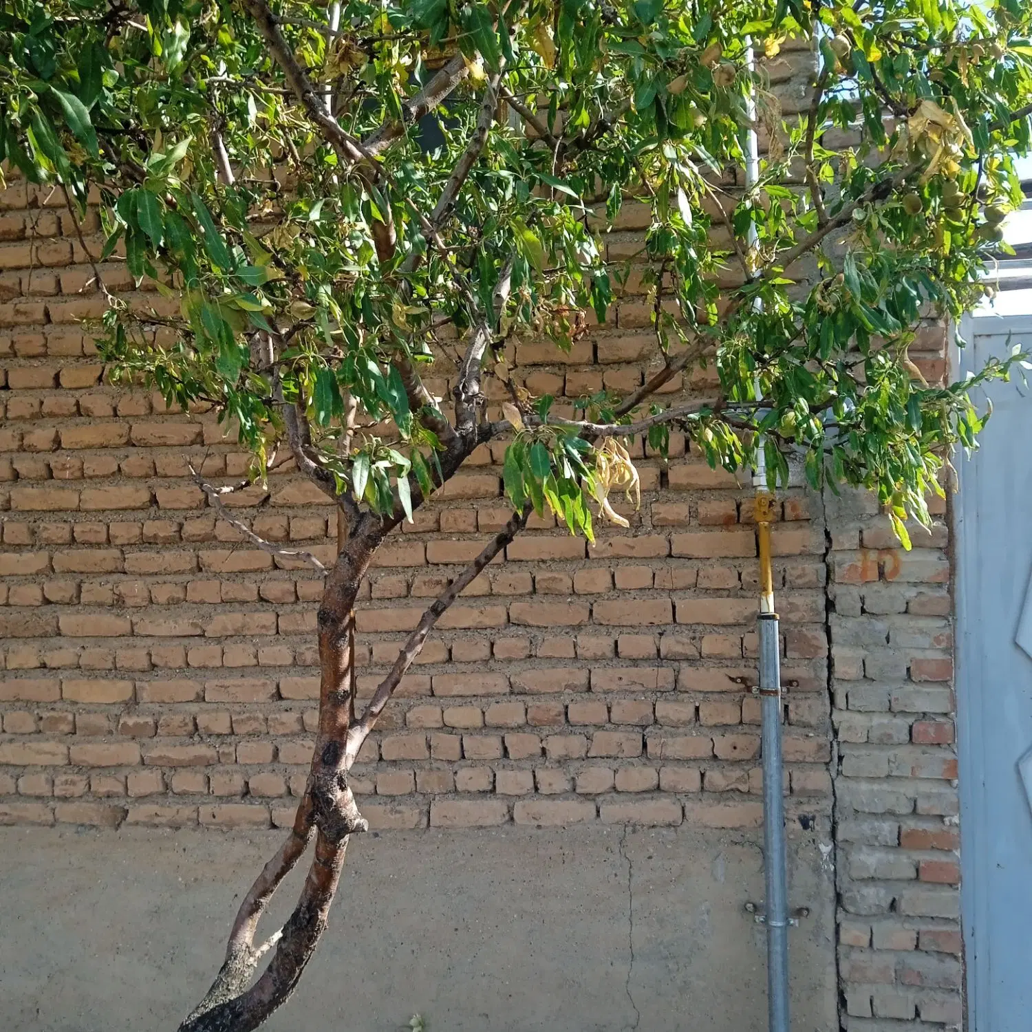 منزل مسکونی واقع در روستای شهرک نصر