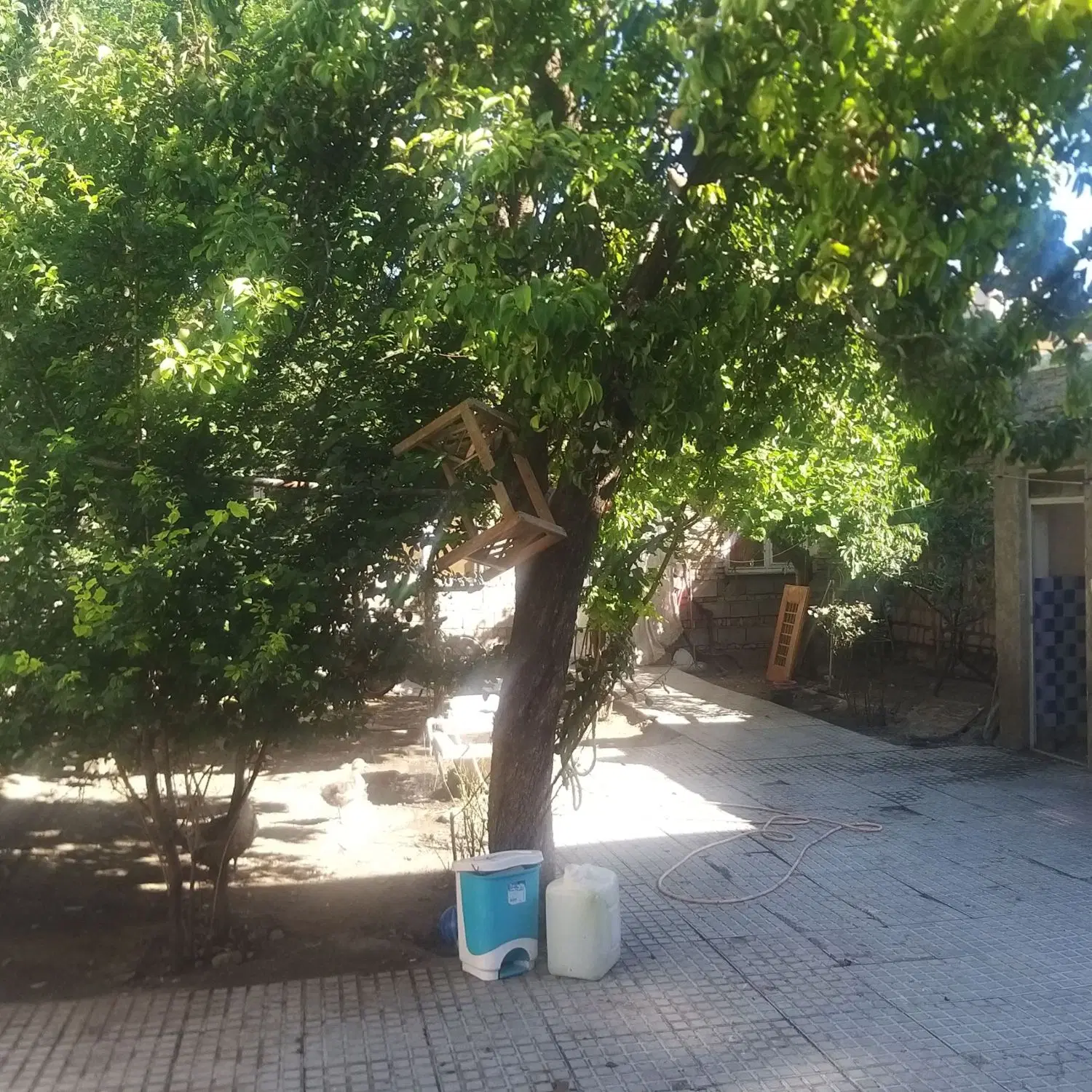 اجاره خانه