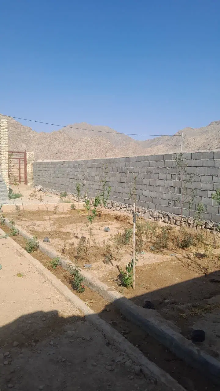 باغ نیمه ساز سانیچ
