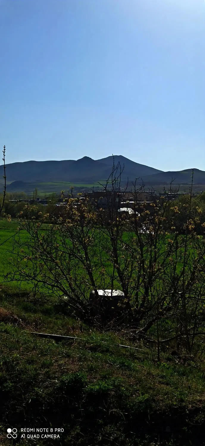 فروش باغ و زمین آبی کشاورزی