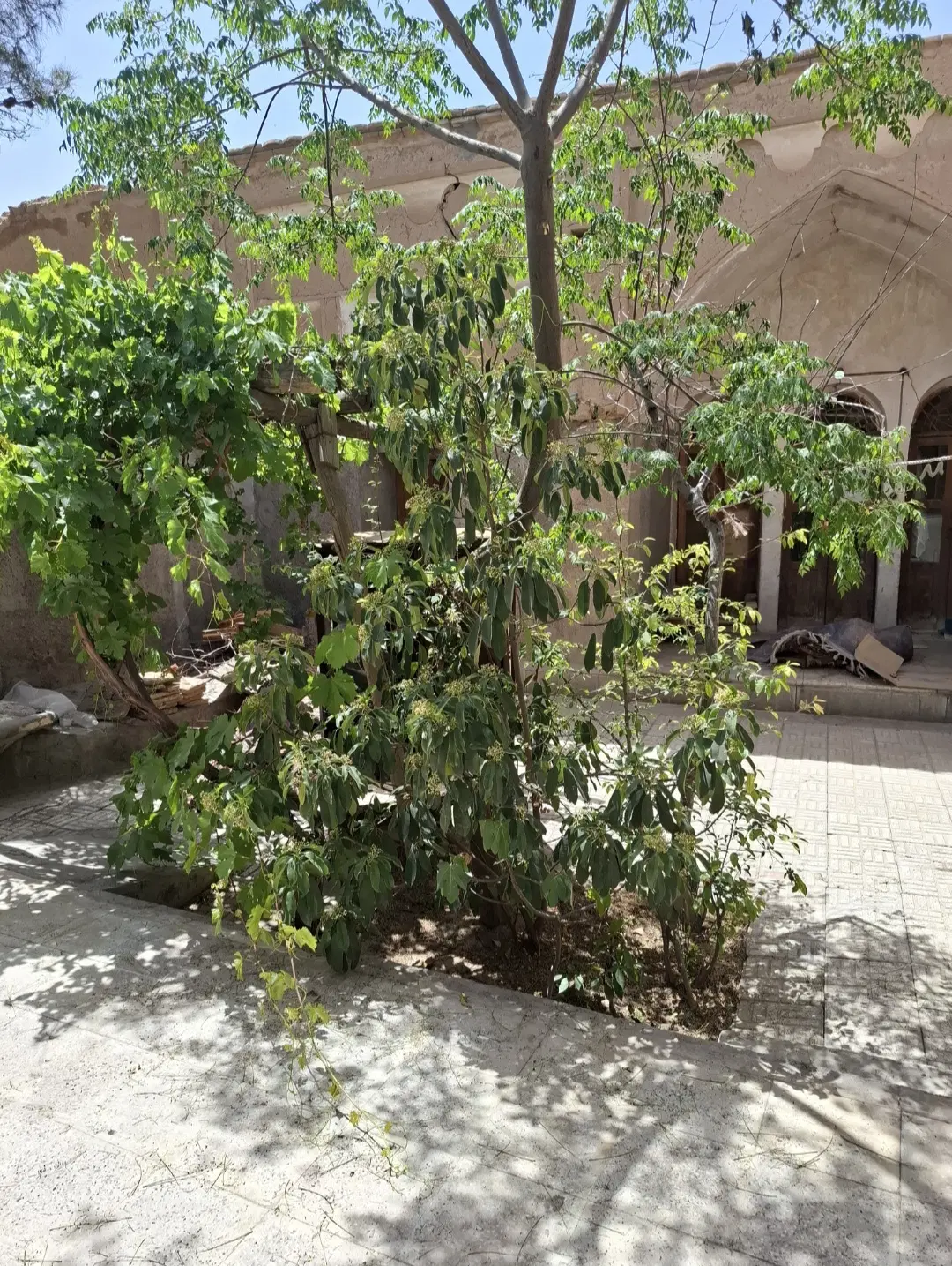 خانه قدیمی