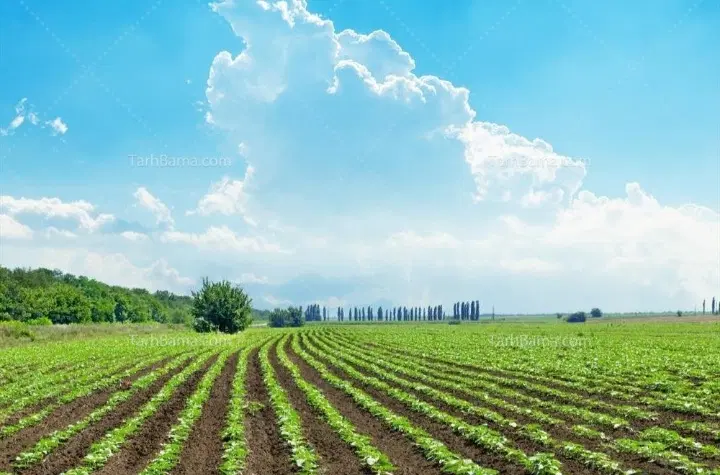 ۴۵۰۰متر زمین مناسب کارگاه.سوله.کشاورزی.باغداری