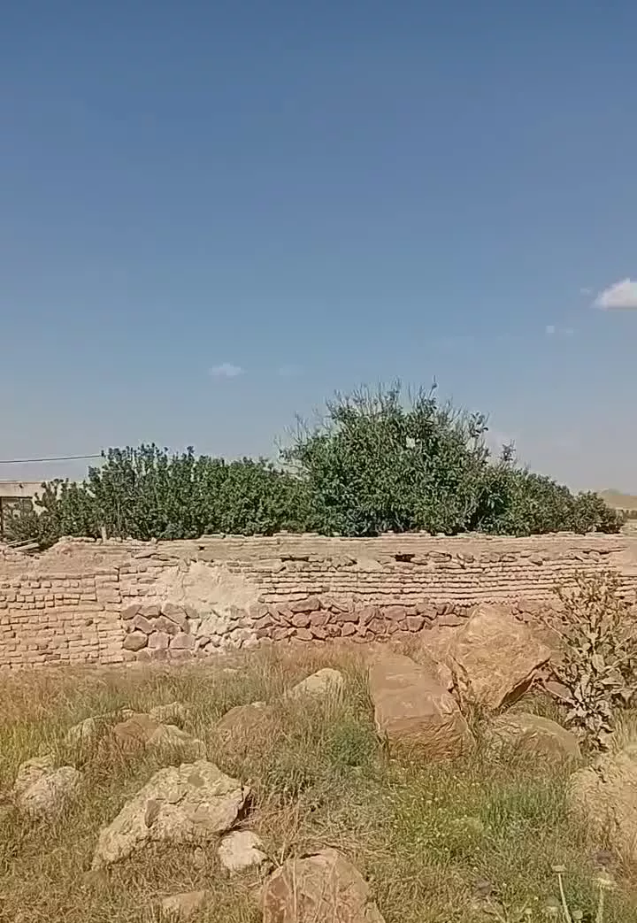 زمین یوسف آباد بستان آباد