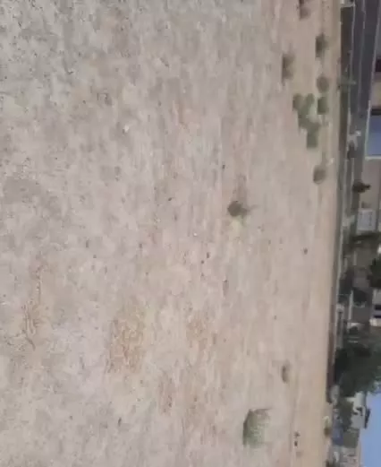 فروش زمین کشاورزی چندمتر مانده به رود و پارک  درچه