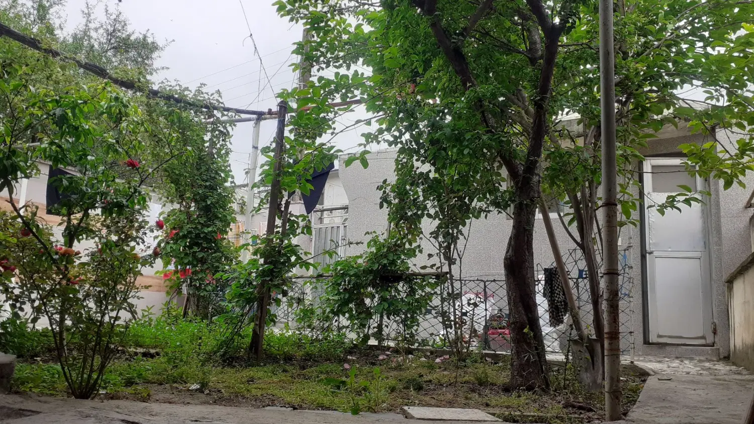 خانه ویلایی عدالت ناهارخوران