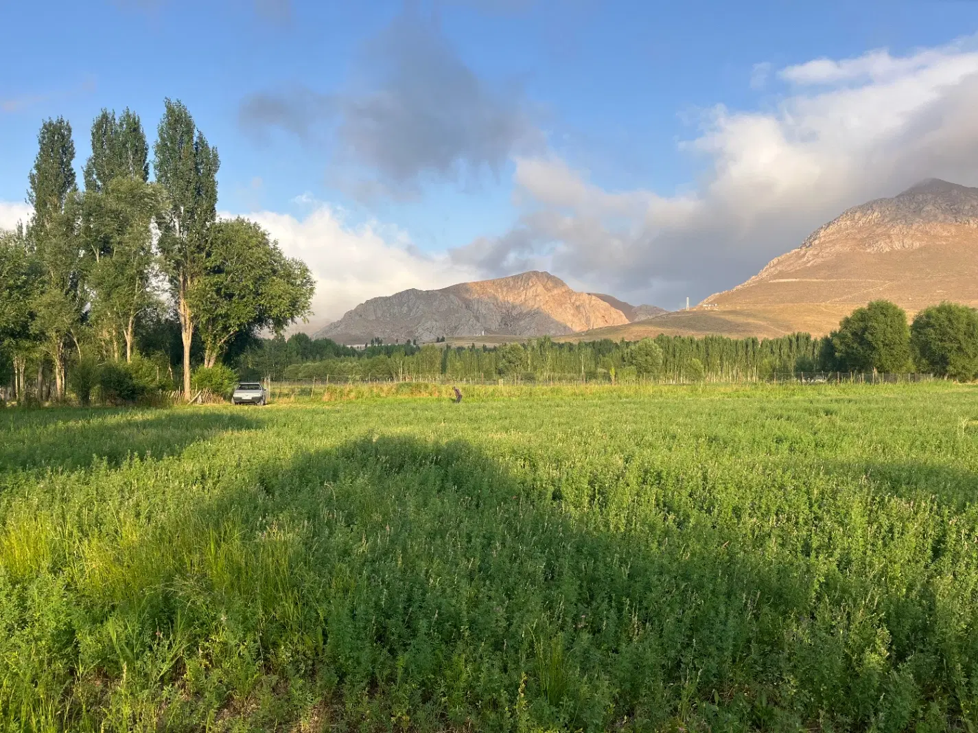 فروش زمین باغی در کمر خونی خلخال