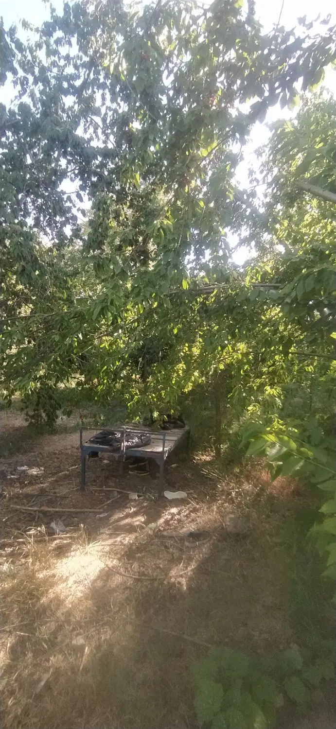 اجاره باغ انجیر آقدره