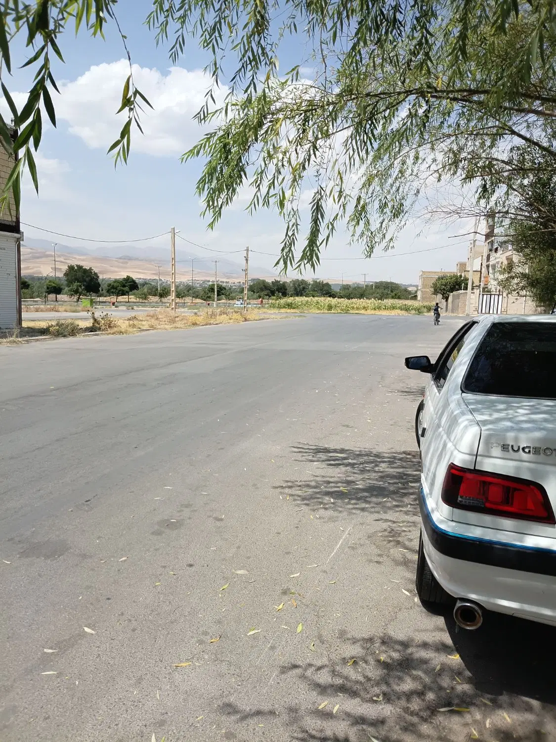 خانه اجاره ای تر و تمیز