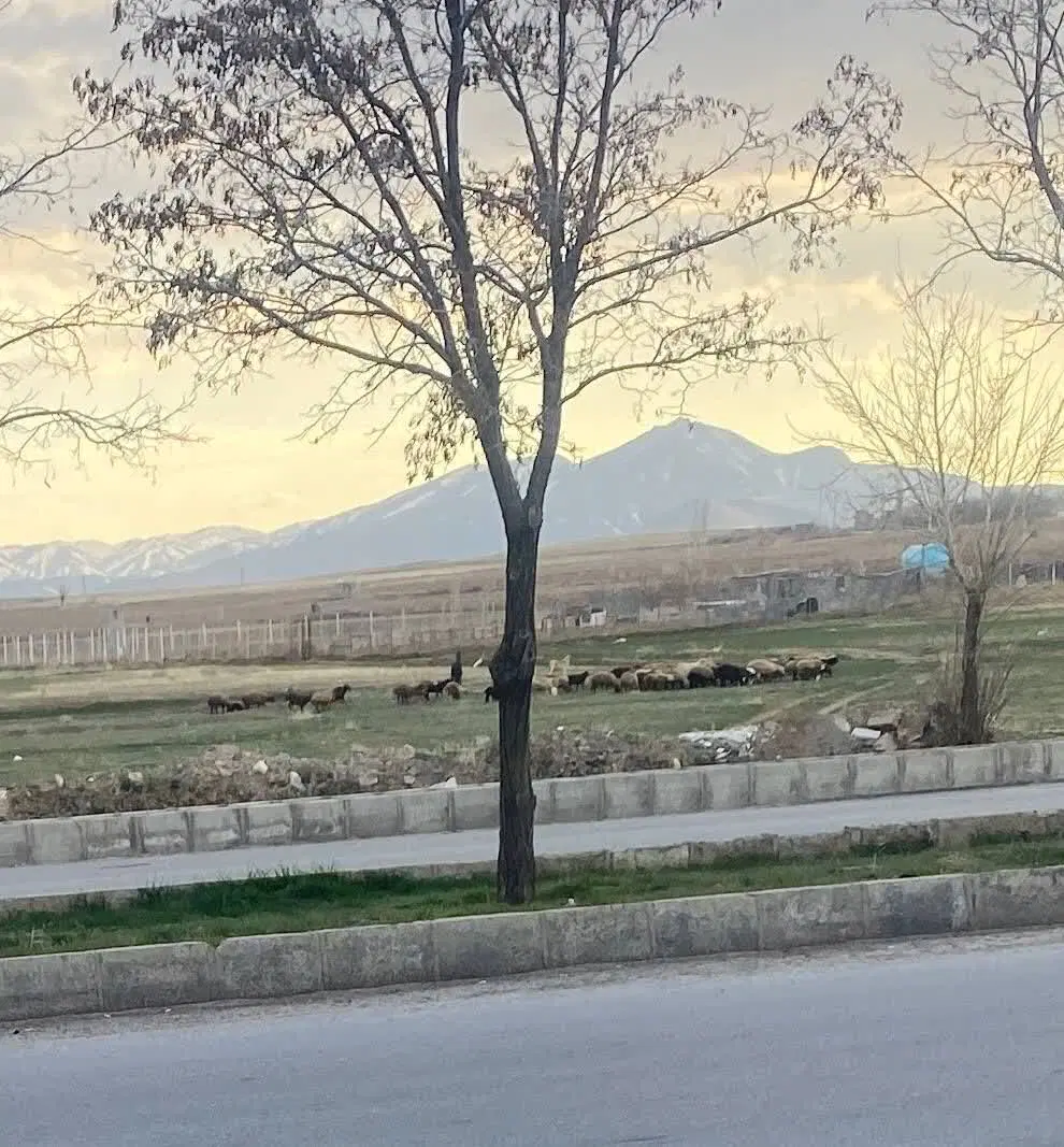 زمین شهرک ورمقانی(سپاه)