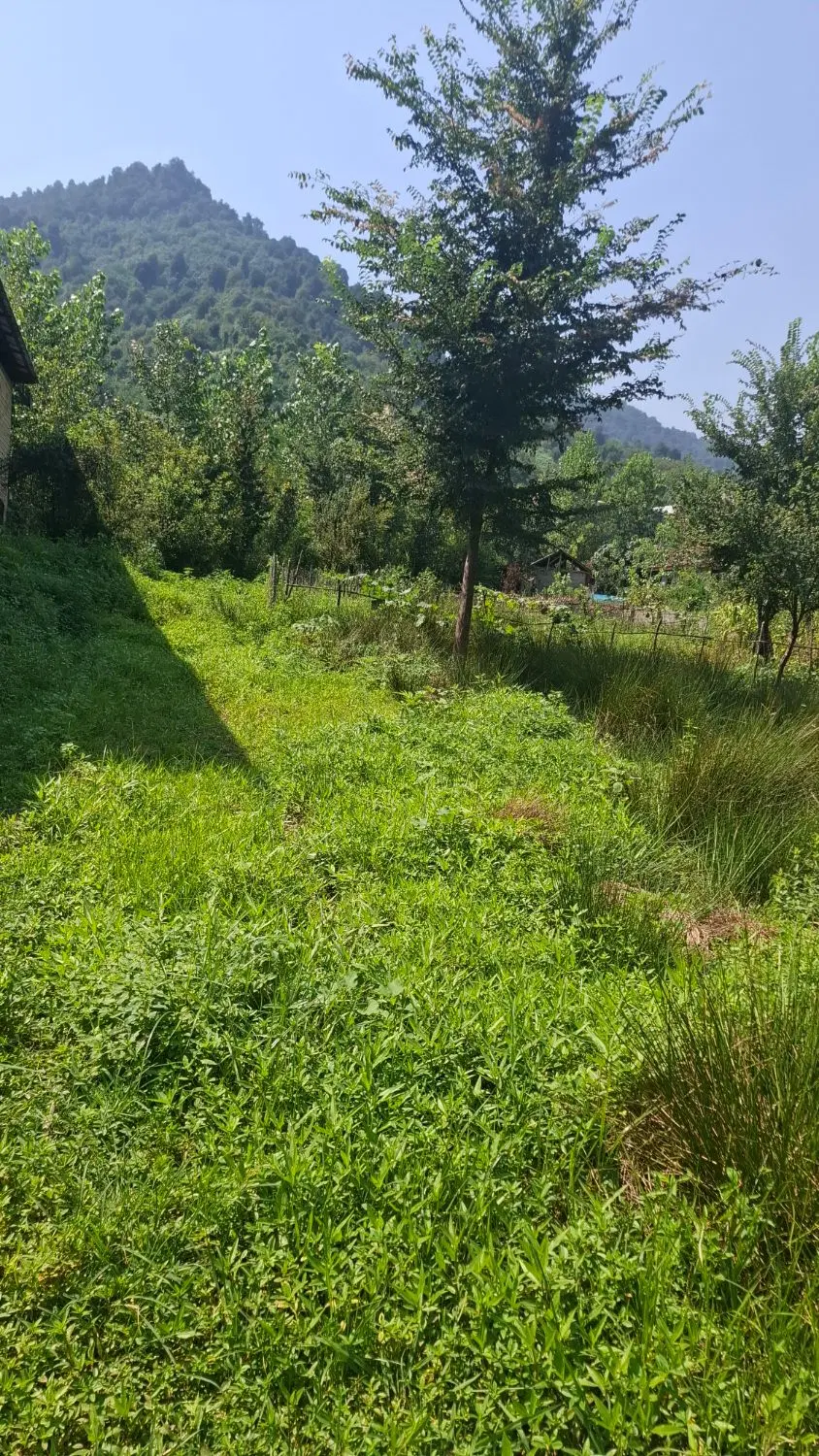 زمین مسکونی