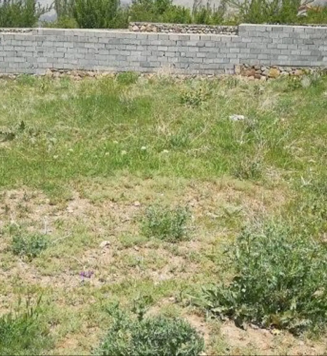 زمین مسکونی سند تک برگ