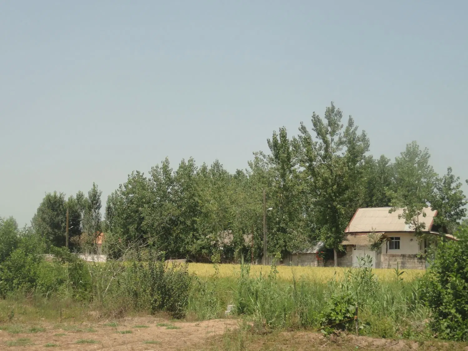 ۳۰۰ متر زمین طرح هادی در روستای توریستی لفمجان