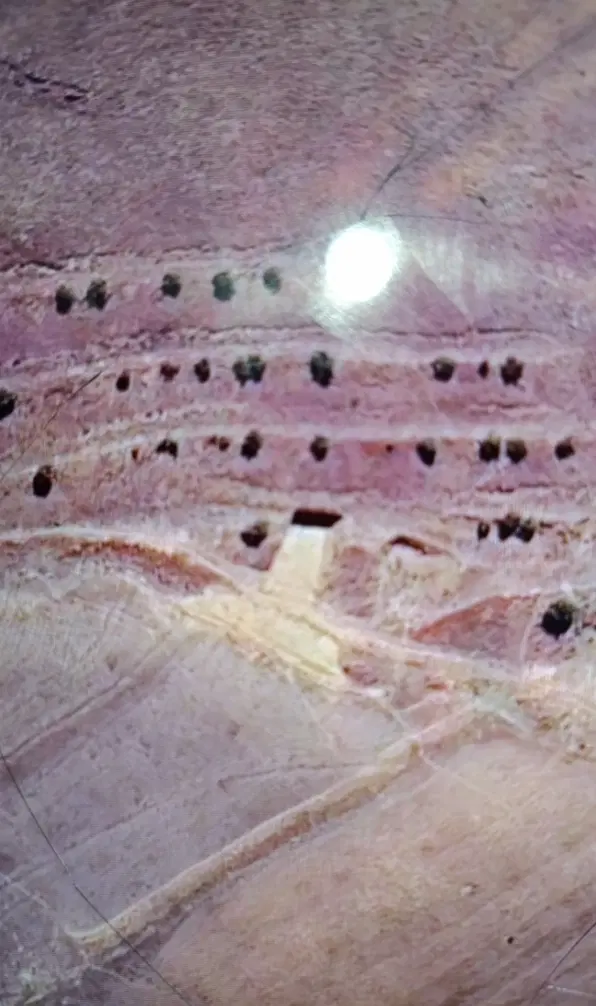 زمین ۱۲۰متری حسن آباد