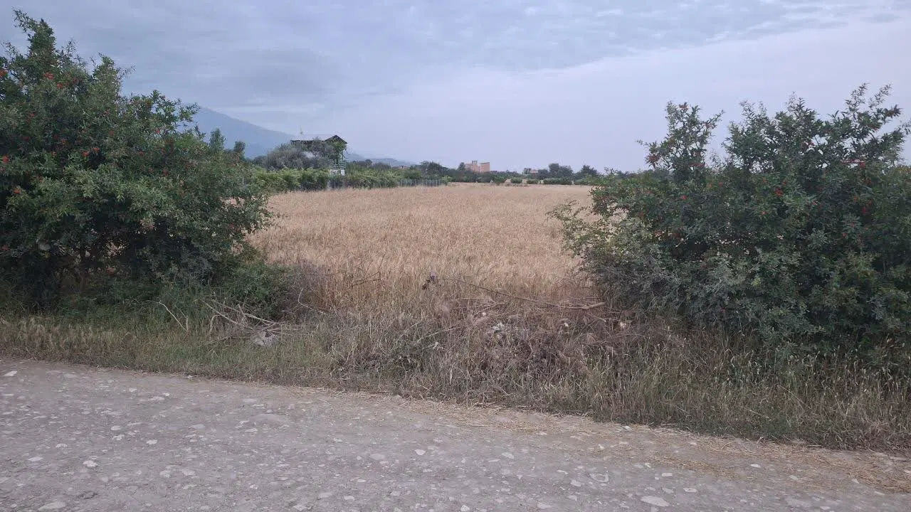 1250مترزمین کشاورزی مناسب باغ روستای کفشگیری