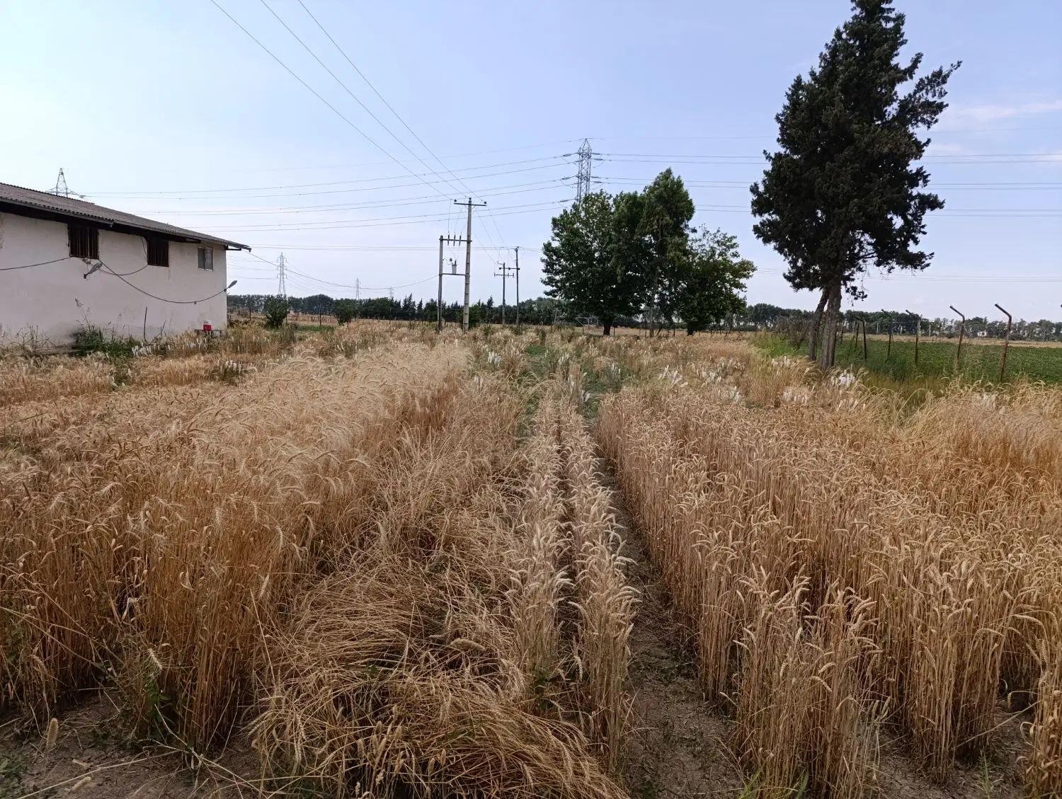 خانه مسکونی در روستای معصوم اباد