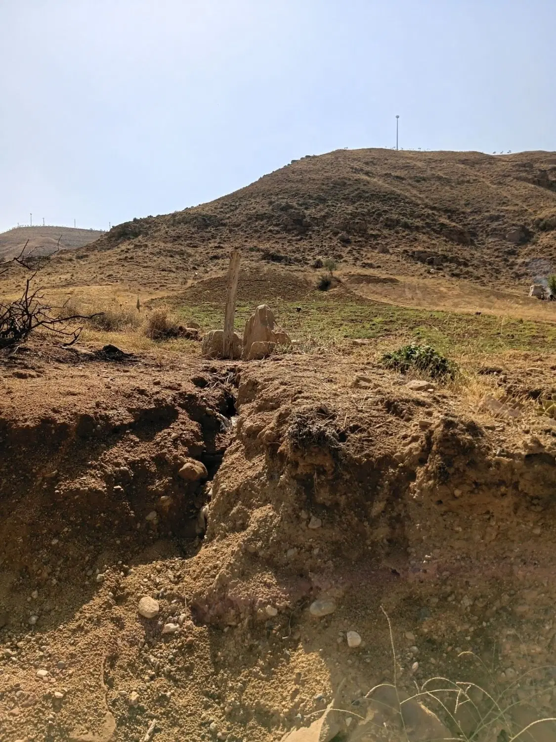 زمین نرسیده به ارپادرسی
