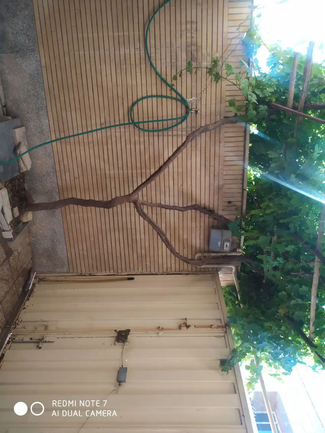 سویت اجاره روزانه