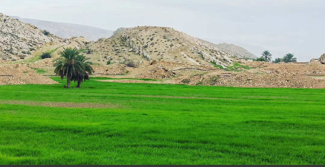 فروش زمین ۲۵۰متری شهرک صفا