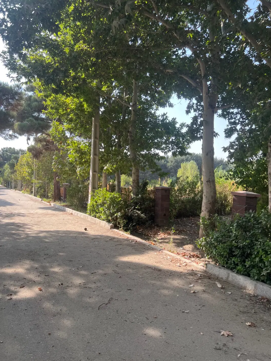 زمین